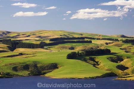 agricultural;agriculture;country;countryside;Dunedin;farm;farming;farmland;farms;field;fields;Lake-Mahinerangi;lakes;meadow;meadows;n.z.;New-Zealand;nz;Otago;paddock;paddocks;pasture;pastures;rural;South-Island
