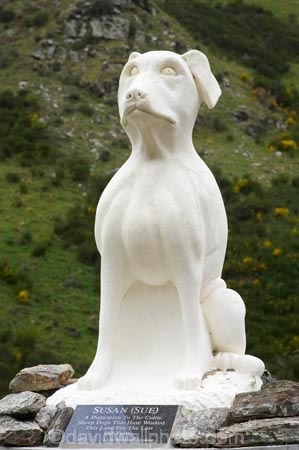 Collie-Dog-Statue;dog;dogs;Dunedin;New-Zealand;sheep-dog;sheep-dogs;South-Island;statue;statues;Taieri-Gorge