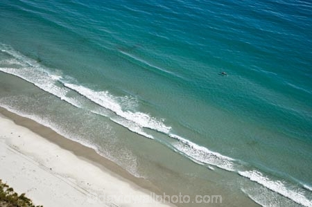aerial;aerial-photo;aerial-photograph;aerial-photographs;aerial-photography;aerial-photos;aerial-view;aerial-views;aerials;beach;beaches;coast;coastal;coastline;coastlines;coasts;Dunedin;kayak;kayaker;kayakers;kayaks;Long-Beach;N.Z.;New-Zealand;NZ;ocean;oceans;Otago;Pacific-Ocean;S.I.;sand;sandy;sea;seas;shore;shoreline;shorelines;shores;SI;South-Is.;South-Island;surf;water;wave;waves
