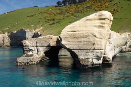 aerial;aerial-photo;aerial-photograph;aerial-photographs;aerial-photography;aerial-photos;aerial-view;aerial-views;aerials;arches;bluff;bluffs;cliff;cliffs;coast;coastal;coastal-erosion;coastline;coastlines;coasts;Dunedin;eroded;N.Z.;natural-arch;New-Zealand;NZ;ocean;oceans;Otago;Pacific-Ocean;S.I.;sandstone;sea;sea-cliff;sea-cliffs;seas;shore;shoreline;shorelines;shores;SI;South-Is.;South-Island;steep;Tunnel-Beach;tunnels;water