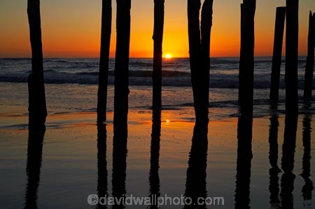 break-of-day;calm;coast;coastal;coastline;coastlines;coasts;dawn;dawning;daybreak;Dunedin;first-light;heritage;historic;historical;history;jetties;jetty;morning;N.Z.;New-Zealand;NZ;ocean;oceans;old;Old-Pier-Piles;orange;Otago;Pacific-Ocean;pier;piers;pile;piles;placid;post;posts;quiet;reflection;reflections;S.I.;Saint-Clair-Beach;Saint-Clair-Esplanade;sea;seas;serene;shore;shoreline;shorelines;shores;SI;silhouette;silhouettes;smooth;South-Is;South-Is.;South-Island;St-Clair;St-Clair-Beach;St-Clair-Esplanade;St.-Clair-Beach;St.Clair;St.Clair-Esplanade;still;sunrise;sunrises;sunup;The-Esplanade;tradition;traditional;tranquil;twilight;vertical;water;waterside;wharf;wharfes;wharves