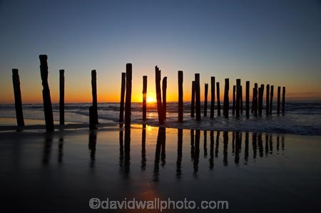 break-of-day;calm;coast;coastal;coastline;coastlines;coasts;dawn;dawning;daybreak;Dunedin;first-light;heritage;historic;historical;history;jetties;jetty;morning;N.Z.;New-Zealand;NZ;ocean;oceans;old;Old-Pier-Piles;orange;Otago;Pacific-Ocean;pier;piers;pile;piles;placid;post;posts;quiet;reflection;reflections;S.I.;Saint-Clair-Beach;Saint-Clair-Esplanade;sea;seas;serene;shore;shoreline;shorelines;shores;SI;silhouette;silhouettes;smooth;South-Is;South-Is.;South-Island;St-Clair;St-Clair-Beach;St-Clair-Esplanade;St.-Clair-Beach;St.Clair;St.Clair-Esplanade;still;sunrise;sunrises;sunup;The-Esplanade;tradition;traditional;tranquil;twilight;vertical;water;waterside;wharf;wharfes;wharves