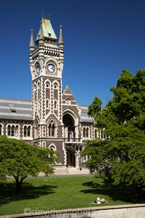 building;buildings;Clock-Tower;Clock-Towers;college;colleges;Dunedin;education;heritage;historic;historic-building;historic-buildings;historical;historical-building;historical-buildings;Historical-Registry-Building;history;N.Z.;New-Zealand;NZ;old;Otago;Otago-University;Registry-Building;S.I.;SI;South-Is.;South-Island;tertiary-education;tradition;traditional;universities;University-of-Otago