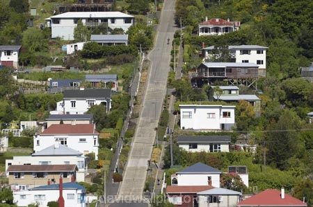 Baldwin-St;Baldwin-Street;Dunedin;hill;hills;N.E.V.;N.Z.;NEV;New-Zealand;North-East-Valley;NZ;Otago;S.I.;SI;slope;slopes;South-Is.;South-Island;steep;the-steepest-street-in-the-world;worlds-steepest-street;worlds-steepest-street