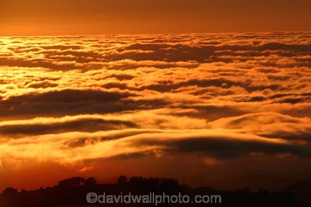 above-the-clouds;break-of-day;cloud;Clouds;dawn;dawning;daybreak;Dunedin;first-light;morning;Mount-Cargill;Mt-Cargill;Mt.-Cargill;N.Z.;New-Zealand;NZ;orange;Otago;S.I.;SI;South-Is.;South-Island;Sunrise;sunrises;sunup;twilight