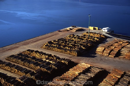 dock;docklands;export;exported;exports;forest;forestry;forests;harbor;harbors;harbour;harbours;industrial;industry;log;logging;logs;lumber;pine;pinu-radiata;stockpile;timber;tree;trees;wharf;wharfs;wharves;wood