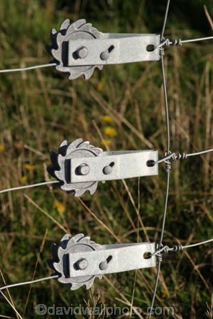 8;agriculture;Countryside;Daytime;farm;farming;farmland;farms;fence;fence-line;fence-lines;fence-strainer;fence-strainers;fence_line;fence_lines;fenceline;fencelines;fences;field;fields;invention;inventions;meadow;meadows;number-8;number-eight;Outdoor;Outdoors;Outside;paddock;paddocks;pasture;pastures;Rural;strain;strainer;strainers;tension;wire