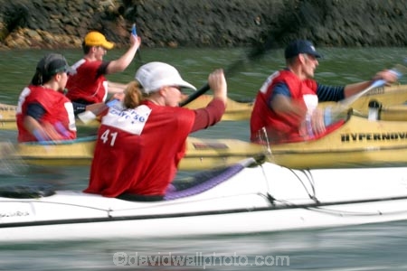 Southern-Traverse;Southern-Traverse-2003;Southern-Traverse-Adventure-Race;Dunedin;Otago;New-Zealand;Team-Omnigraphics;Omnigraphics;Sponsor;Sponsored;athlete;athletes;endure;endurance;stamina;challenge;effort;marathon;long-distance;long_distance;team;teams;team-member;team-members;team_member;team_members;compete;competing;competition;competitor;competitors;race;racing;canoe;canoes;canoeing;kayak;kayaks;kayaking;kayaker;kayakers;paddle;paddles;paddling;water;sea;ocean;harbour;tidal;tides;tide