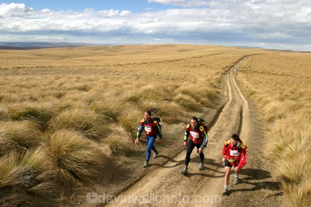 Southern-Traverse;Southern-Traverse-2003;Southern-Traverse-Adventure-Race;Dunedin;Otago;New-Zealand;Team-Omnigraphics;Omnigraphics;Sponsor;Sponsored;athlete;athletes;endure;endurance;stamina;challenge;effort;marathon;long-distance;long_distance;team;teams;team-member;team-members;team_member;team_members;compete;competing;competition;competitor;competitors;race;racing;walk;walking;hike;hiker;hikers;hiking;hikes;tramp;tramping;tramper;trampers;tramps;tarn;remote;wilderness;high-country;high_country;tussock;tussocks;tussock-land;grass;grassland;grasslands;path;paths;road;roads;track;tracks;dirt-road;gravel;dirt