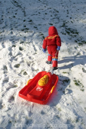 alone;child;childhood;children;cold;color;colors;colour;daughter;daughters;down-hill;drag;dragging;effort;freezing;fun;fungirls;girl;happiness;happy;hood;hooded;joy;kid;kids;little;lonely;one;outdoor;outdoors;outside;plastic;play;play-ground;play-grounds;play_ground;play_grounds;playground;playgrounds;playing;playtime;pleasure;primary-colours;red;single;sled;sledding;sledge;sledges;sledging;sleds;slope;snow;snowing;snowy;speed;success;tobogan;toboganing;tobogans;toboggan;tobogganing;tobogganning;toboggans;tow;winter;wintry