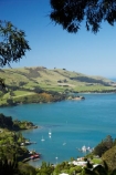 Careys-Bay;coast;coastal;coastline;coastlines;coasts;Dunedin;harbor;harbors;harbour;harbours;N.Z.;New-Zealand;NZ;ocean;oceans;Otago;Otago-Harbour;S.I.;sea;shore;shoreline;shorelines;shores;SI;South-Is.;South-Island;water