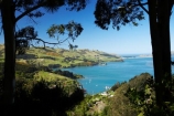Careys-Bay;coast;coastal;coastline;coastlines;coasts;Dunedin;harbor;harbors;harbour;harbours;N.Z.;New-Zealand;NZ;ocean;oceans;Otago;Otago-Harbour;S.I.;sea;shore;shoreline;shorelines;shores;SI;South-Is.;South-Island;water