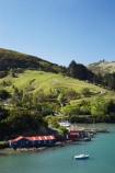 boat-shed;boat-sheds;boatshed;boatsheds;Careys-Bay;coast;coastal;coastline;coastlines;coasts;Dunedin;harbor;harbors;harbour;harbours;N.Z.;New-Zealand;NZ;ocean;oceans;Otago;Otago-Harbour;S.I.;sea;shore;shoreline;shorelines;shores;SI;South-Is.;South-Island;water
