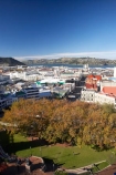 autuminal;autumn;autumn-colour;autumn-colours;autumnal;City-Centre;color;colors;colour;colours;deciduous;Dunedin;fall;N.Z.;New-Zealand;NZ;Ocatgon;Regent-Theatre;Robbie-Burns-Statue;Robert-Burns-Statue;S.I.;season;seasonal;seasons;SI;South-Is.;South-Island;The-Octagon;tree;trees