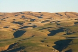 agricultural;agriculture;Central-Otago-peneplain;country;countryside;farm;farming;farmland;farms;field;fields;grass;grassy;green;hill;hills;Maungatua;Maungatuas;meadow;meadows;N.Z.;near-Dunedin;New-Zealand;NZ;Otago;Otago-peneplain;paddock;paddocks;pasture;pastures;Rolling-Farmland;rolling-hills;rural;S.I.;SI;South-Is.;South-Island;uiplands;upland