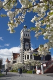 1906;architecture;bloom;blooming;blooms;blossom;blossoming;blossoms;building;buildings;clock;clock-tower;clock-towers;Dunedin;Dunedin-Railway-Station;Flemish-Renaissance-style;fresh;George-A-Troup;Gingerbread-George;grow;growth;heritage;Historic;historic-building;historic-buildings;historical;historical-building;historical-buildings;history;N.Z.;New-Zealand;NZ;old;Otago;rail-station;rail-stations;railway;railway-station;railway-stations;railways;renew;S.I.;season;seasonal;seasons;SI;South-Is.;South-Island;spring;springtime;tradition;traditional;train-station;train-stations