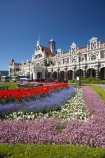 1906;architecture;bloom;blooming;blooms;building;buildings;color;colorful;colors;colour;colourful;colours;council-gardens;Dunedin;Dunedin-Railway-Station;Flemish-Renaissance-style;floral;flower;flower-bed;flower-beds;flower-garden;flower-gardens;flowers;fresh;garden;gardens;George-A-Troup;Gingerbread-George;grow;growth;heritage;historic;historic-building;historic-buildings;historical;historical-building;historical-buildings;history;N.Z.;New-Zealand;NZ;old;Otago;rail-station;rail-stations;railway;railway-station;railway-stations;railways;renew;S.I.;season;seasonal;seasons;SI;South-Is.;South-Island;spring;Spring-Flowers;springtime;tradition;traditional;train-station;train-stations;tulip;tulips
