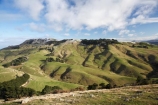agricultural;agriculture;cold;country;countryside;Dunedin;farm;farming;farmland;farms;field;fields;meadow;meadows;N.Z.;New-Zealand;NZ;Otago;Otago-Peninsula;paddock;paddocks;pasture;pastures;rural;S.I.;SI;snow;South-Is.;South-Island;winter