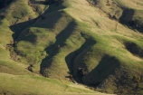 agricultural;agriculture;country;countryside;Dunedin;farm;farming;farmland;farms;field;fields;meadow;meadows;N.Z.;New-Zealand;NZ;Otago;Otago-Peninsula;paddock;paddocks;pasture;pastures;rural;S.I.;SI;South-Is.;South-Island