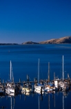 yacht;yachts;boat;boats;dock;moored;sea;calm;berth;harbour;haven;wharf;pacific;otago-harbour;dunedin