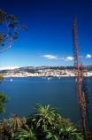 harbor;harbors;harbours;view;scenary;city;port-of-dunedin;port-of-otago;dunedin-harbour;sea