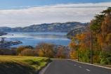 autuminal;autumn;autumn-colour;autumn-colours;autumnal;centre-line;centre-lines;centre_line;centre_lines;centreline;centrelines;color;colors;colour;colours;deciduous;driving;Dunedin;fall;harbor;harbours;leaf;leaves;N.Z.;New-Zealand;NZ;Otago;Otago-Harbor;Otago-Harbour;road;roads;S.I.;season;seasonal;seasons;SI;South-Is;South-Island;Stafford-St;Stafford-Street;Sth-Is;transport;transportation;travel;traveling;travelling;tree;trees;Unity-Park