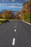 autuminal;autumn;autumn-colour;autumn-colours;autumnal;centre-line;centre-lines;centre_line;centre_lines;centreline;centrelines;color;colors;colour;colours;deciduous;driving;Dunedin;fall;harbor;harbours;leaf;leaves;N.Z.;New-Zealand;NZ;Otago;Otago-Harbor;Otago-Harbour;road;roads;S.I.;season;seasonal;seasons;SI;South-Is;South-Island;Stafford-St;Stafford-Street;Sth-Is;transport;transportation;travel;traveling;travelling;tree;trees;Unity-Park