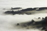 cloud;clouds;cloudy;Dunedin;fog;foggy;fogs;mist;mists;misty;monochromatic;monochrome;N.Z.;New-Zealand;NZ;Otago;Otago-Harbor;Otago-Harbour;Otago-Peninsula;S.I.;SI;South-Is.;South-Island;tree;trees;unusual-weather;weather