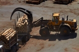 articulated-lorries;articulated-lorry;articulated-truck;articulated-trucks;bulk;dock;docks;Dunedin;export;export-logs;exporting;exports;forestry;forestry-industry;front_end-laoder;front_end-loaders;heavy-haulage;import;importing;industrial;industry;Juggernaut;Juggernauts;loader;loaders;log;log-hauler;log-haulers;log-loader;log-loaders;log-lorries;log-lorry;log-truck;log-trucks;logging;logging-equipment;logging-lorries;logging-lorry;logging-truck;logging-trucks;logs;lorries;lorry;lumber;N.Z.;New-Zealand;NZ;Otago;Otago-Harbour;Otago-port;pier;piers;pine;pine-tree;pine-trees;pines;pinus-radiata;port;Port-Chalmers;Port-of-Otago;Port-Otago;ports;Pt-Chalmers;quay;quays;rig;rigs;S.I.;semi;semitrailer;semitrailers;SI;South-Is;South-Is.;South-Island;Sth-Is;stockpile;stockpiles;timber;timber-industry;tractor-trailer;tractor-trailers;trade;transport;transportation;tree;tree-trunk;tree-trunks;trees;truck;trucks;unloading;waterside;wharf;wharfes;wharves;wood