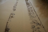 Allanton;bad-weather;deluge;Dunedin;extreme-weather;flood;flood-water;flood-waters;flooded-Taieri-River;flooding;floods;floodwater;floodwaters;high-water;inundate;muddy-water;N.Z.;New-Zealand;NZ;on-flood;Otago;rail-line;rail-lines;rail-track;rail-tracks;railroad;railroads;railway;railway-line;railway-lines;railway-track;railway-tracks;railways;river;rivers;S.I.;SI;South-Is;South-Is.;South-Island;Sth-Is;swollen-river;Taieri;Taieri-Plain;Taieri-Plains;Taieri-River;Taieri-River-in-flood;track;tracks;train-track;train-tracks;transport;transportation;water;weather;wet