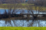 agricultural;agriculture;calm;country;countryside;Dunedin;farm;farming;farmland;farms;field;fields;meadow;meadows;N.Z.;New-Zealand;NZ;Otago;paddock;paddocks;pasture;pastures;placid;quiet;rail-line;rail-lines;rail-track;rail-tracks;railroad;railroads;railway;railway-line;railway-lines;railway-track;railway-tracks;railways;reflected;reflection;reflections;rural;S.I.;serene;SI;smooth;South-Is;South-Island;still;Taieri-Plain;Taieri-Plains;track;tracks;train-track;train-tracks;tranquil;transport;transportation;tree;trees;water;willow;willow-tree;willow-trees;willows