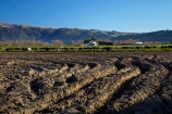 agricultural;agriculture;country;countryside;Dunedin;farm;farming;farmland;farms;field;fields;meadow;meadows;mud;muddy;N.Z.;New-Zealand;NZ;Otago;paddock;paddocks;pasture;pastures;rural;rut;ruts;rutted;S.I.;SI;South-Is;South-Island;Taieri-Plain;Taieri-Plains