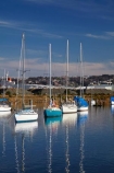 boat;boat-harbor;boat-harbors;boat-harbour;boat-harbours;boats;calm;coast;coastal;cruiser;cruisers;Dunedin;harbour;harbours;launch;launches;marina;marinas;N.Z.;New-Zealand;Otago;Otago-Harbor;Otago-Harbour;placid;quiet;reflected;reflection;reflections;S.I.;serene;SI;smooth;South-Is;South-Island;Sth-Is;still;tranquil;water;yacht;yachts