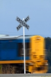 cross;crosses;Dunedin;excursion-train;level-crossing;level-crossings;N.Z.;New-Zealand;NZ;Otago;rail;rail-crossing;rail-crossings;rail-line;rail-lines;rail-track;rail-tracks;railroad;railroads;railway;railway-crossing;railway-crossings;railway-line;railway-lines;railway-track;railway-tracks;railways;S.I.;Seasider-Train;SI;sign;signage;signs;South-Is;South-Island;Sth-Is;Taieri-Gorge-Seasider-Train;Taieri-Gorge-Seasider-Train;tourist-attraction;tourist-attractions;tourist-train;tourist-trains;track;tracks;train;train-track;train-tracks;trains;transport;transportation;warning;warning-sign;warning-signs