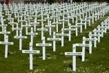 cross;crosses;Dunedin;Field-of-Rememberance;memorial;memorial-crosses;memorials;military-crosses;military-memorial;N.Z.;New-Zealand;NZ;Otago;pattern;patterns;Queens-Gardens;Queens-Gardens;row;rows;rows-of-crosses;soldiers-memorial-crosses;soldiers-memorials;South-Is;South-Island;Sth-Is;WWI-memorial