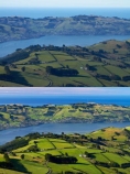agricultural;agriculture;country;countryside;Dunedin;farm;farming;farmland;farms;field;fields;Martins-Hill;meadow;meadows;N.Z.;New-Zealand;NZ;Otago;Otago-Harbor;Otago-Harbour;Otago-Peninsula;paddock;paddocks;pasture;pastures;polarisation;polarised;polarization;polarized;rural;shelter-belt;shelter-belts;shelter_belt;shelter_belts;shelterbelt;shelterbelts;South-Is;South-Island;Sth-Is;unpolarised;unpolarized;Upper-Junction;wind-break;wind-breaks;wind_break;wind_breaks;windbreak;windbreaks