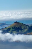 Dunedin;fog;foggy;fogs;Harbor-Cone;Harbour-Cone;mist;mists;misty;morning;N.Z.;New-Zealand;NZ;Otago;Otago-Harbor;Otago-Harbour;Otago-Peninsula;South-Is;South-Island;Sth-Is;weather