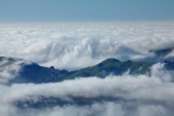 Dunedin;fog;foggy;fogs;mist;mists;misty;morning;N.Z.;New-Zealand;NZ;Otago;Otago-Harbor;Otago-Harbour;Otago-Peninsula;South-Is;South-Island;Sth-Is;weather