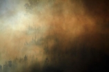 Burnside;Dunedin;fire;fires;forest-fire;forest-fires;N.Z.;New-Zealand;NZ;Otago;S.I.;SI;smoke;smokey;South-Is;South-Island;Sth-Is