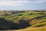 agricultural;agriculture;country;countryside;Dunedin;farm;farming;farmland;field;fields;Lake-Mahinerangi;meadow;meadows;n.z.;New-Zealand;nz;Otago;paddock;paddocks;pasture;pastures;rural;South-Island