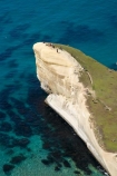 aerial;aerial-photo;aerial-photograph;aerial-photographs;aerial-photography;aerial-photos;aerial-view;aerial-views;aerials;bluff;bluffs;cliff;cliffs;coast;coastal;coastal-erosion;coastline;coastlines;coasts;Dunedin;headland;headlands;N.Z.;New-Zealand;NZ;ocean;oceans;Otago;Pacific-Ocean;S.I.;sandstone;sea;sea-cliff;sea-cliffs;seas;shore;shoreline;shorelines;shores;SI;South-Is.;South-Island;steep;tourism;tourist;tourists;Tunnel-Beach;water