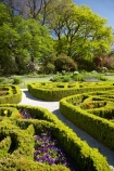 Dunedin;Dunedin-Botanic-Garden;Dunedin-Botanical-Garden;Dunedin-Gardens;garden;gardens;knot-garden;N.Z.;New-Zealand;NZ;Otago;S.I.;SI;South-Is.;South-Island