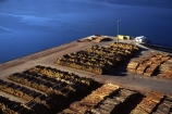 dock;docklands;export;exported;exports;forest;forestry;forests;harbor;harbors;harbour;harbours;industrial;industry;log;logging;logs;lumber;pine;pinu-radiata;stockpile;timber;tree;trees;wharf;wharfs;wharves;wood