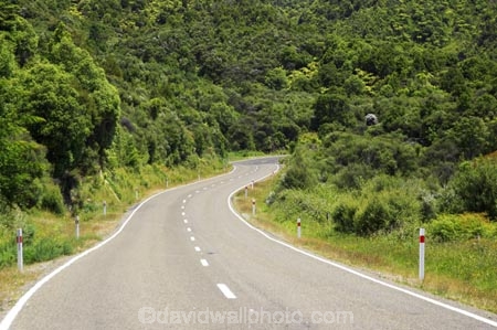 beautiful;beauty;bend;bends;bush;centre-line;centre-lines;centre_line;centre_lines;centreline;centrelines;corner;corners;driving;east-cape;east-coast;Eastland;endemic;forest;forests;green;Hicks-Bay;highway;highways;native;native-bush;natives;natural;nature;New-Zealand;north-is.;north-island;open-road;open-roads;road;road-trip;roads;scene;scenic;straight;transport;trasnportation;travel;traveling;travelling;tree;trees;trip;wood;woods