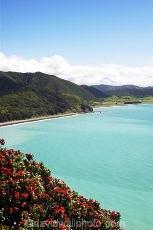 coast;coastal;coastline;east-cape;east-coast;Eastland;flower;flowers;metrosideros-excelsa;new-zealand;north-is.;north-island;ocean;oceans;plant;plants;pohutakawa;pohutakawas;pohutukawa;pohutukawa-flower;pohutukawa-flowers;pohutukawa-tree;pohutukawa-trees;pohutukawas;sea;shore;shoreline;surf;tree;trees;wave;waves;Whituare-Bay