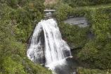 Bridge;cascade;cascades;creek;creeks;Eastland;falls;Mokau-Falls;Mokau-Waterfall;Mokau-Waterfalls;N.I.;N.Z.;national-park;national-parks;natural;nature;New-Zealand;NI;North-Is;North-Is.;North-Island;NZ;scene;scenic;stream;streams;Te-Urewera-N.P.;Te-Urewera-National-Park;Te-Urewera-NP;Urewera-National-Park;Waikaremoana-Road;water;water-fall;water-falls;waterfall;waterfalls;wet