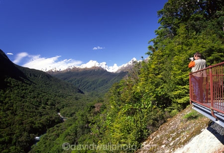 beautiful;beauty;fiordland-national-park;majestic;mountain;mountains;natural;nature;roads;scene;scenic;south-west;southland;te-wahipounamu-south_west-new-zealand-world-hertitage-area;tourism;tourist;valleys;viewing-platform