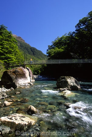 alive;beautiful;beauty;beech;bridge;brook;brooks;bubbling;bush;creek;creeks;dripping;fern;ferns;fiordland-national-park;flora;forest;forestry;forests;green;hike;hiker;hikers;hikes;hiking;hiking-track;hiking-tracks;lush;majestic;middle-earth;moss;mosses;natural;nature;rain-forest;rain-forests;rain_forest;rain_forests;rainforest;rainsforests;scene;scenic;south-west;southland;stream;streams;te-wahipounamu-south_west-new-zealand-world-hertitage-area;tramp;tramper;trampers;tramping;tramping-tack;tramping-tacks;tramps;trek;treker;trekers;treking;trekker;trekkers;trekking;verdant;walk;walker;walkers;walking;walking-track;walking-tracks;walks;water