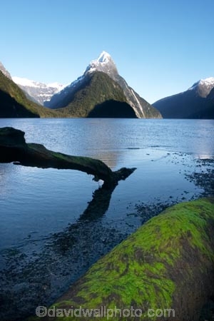 beautiful;beauty;bluff;bluffs;calm;calmness;cliff;cliffs;coast;coastal;coastline;fiord;fiordland;Fiordland-National-Park;fiords;fjord;fjords;majestic;middle-earth;Milford-Sound;Mitre-Peak;mountain;mountains;natural;nature;New-Zealand;peak;peaks;scene;scenic;sea;snow;snowy;sounds;South-Island;south-west;southland;still;stillness;summit;summits;te-wahipounamu;te-wahipounamu-south_west-new;water;world-heirtage-site;world-heritage-area