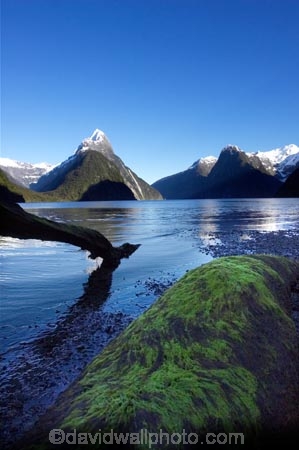beautiful;beauty;bluff;bluffs;calm;calmness;cliff;cliffs;coast;coastal;coastline;fiord;fiordland;Fiordland-National-Park;fiords;fjord;fjords;majestic;middle-earth;Milford-Sound;Mitre-Peak;mountain;mountains;natural;nature;New-Zealand;peak;peaks;reflection;reflections;scene;scenic;sea;snow;snowy;sounds;South-Island;south-west;southland;still;stillness;summit;summits;te-wahipounamu;te-wahipounamu-south_west-new;water;world-heirtage-site;world-heritage-area